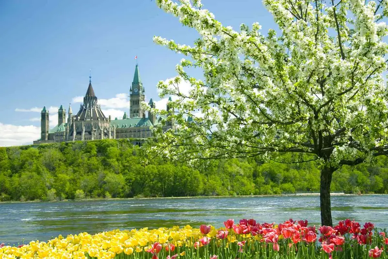 Spring 2025 in Canada: Top Festivals & Must-See Events