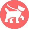 Pets