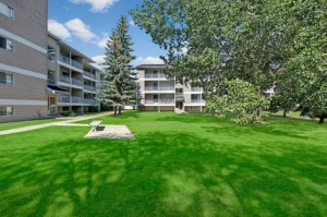 1 Bed x 1 Bath Apartment for Rent on Stirling Road | $1245.00