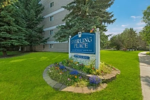 1 Bed x 1 Bath Apartment for Rent on Stirling Road | $1245.00
