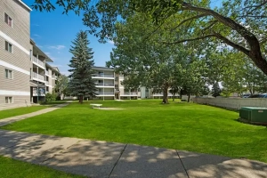 Spacious 1 bedroom bright unit- Beaumaris Lake - Pet friendly