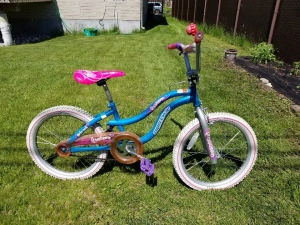 3 vélos pour enfants (peuvent se vendre séparément)