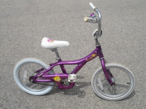 OUTGROWN LITTLE GIRL'S ALL ALUMINUM 16" GIANT PUDDIN BIKE!
