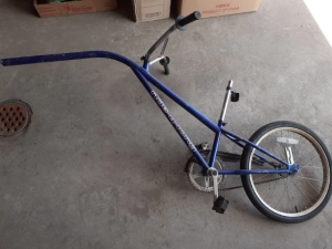 trail-a-bike, no hitch, no seat