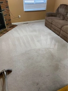 The Fresh Carpet,Rugs and Sofa,Upholstery Cleaning