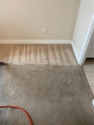 The Fresh Carpet,Rugs and Sofa,Upholstery Cleaning