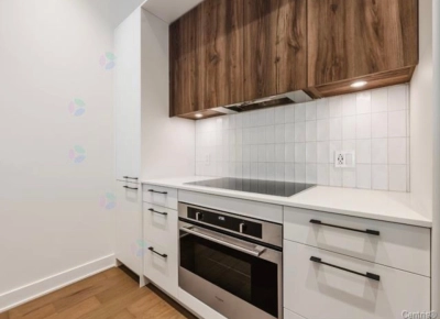 Stunning 1BR at Newman Phase, LaSalle – Move-In Ready