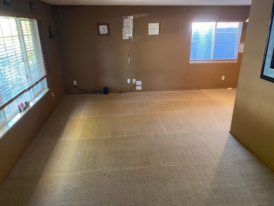 Upholstery & Rug Cleaning In Affordable Price
