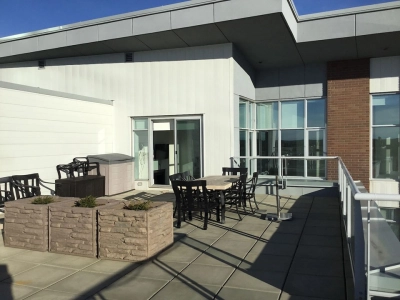 Penthouse Luxury in Century Park with All Utilities Included